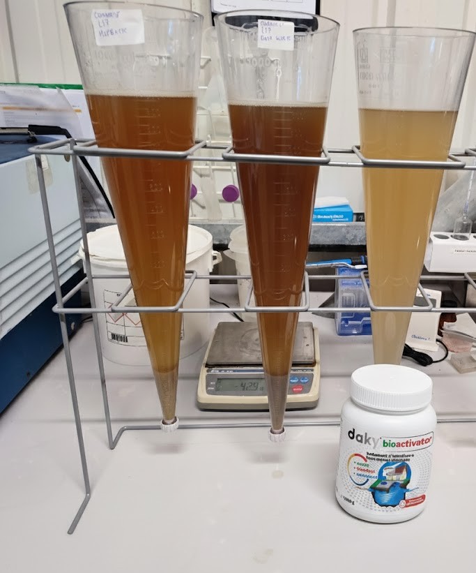 Casă rurală cu grădină verde